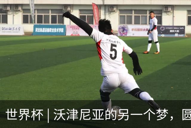 世界杯 | 沃津尼亚的另一个梦，圆了